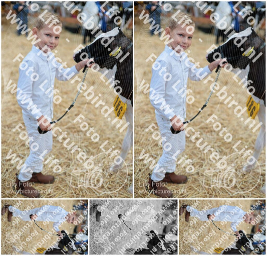 Evenement foto: Serie 3038