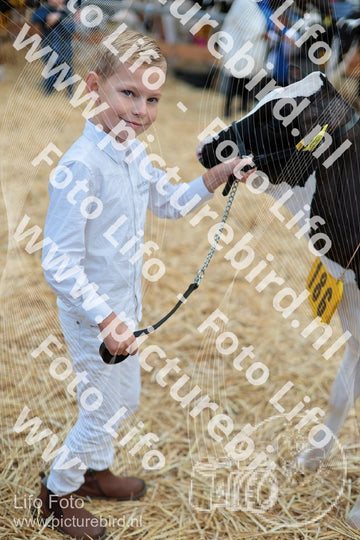 Evenement foto: Serie 3038