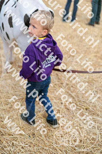 Evenement foto: Serie 3038