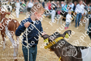 Evenement foto: Serie 3038