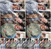 Evenement foto: Serie 3038