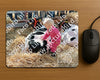 Evenement foto: Serie 3038