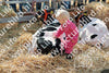 Evenement foto: Serie 3038