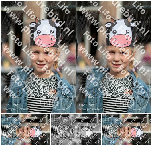 Evenement foto: Serie 3038