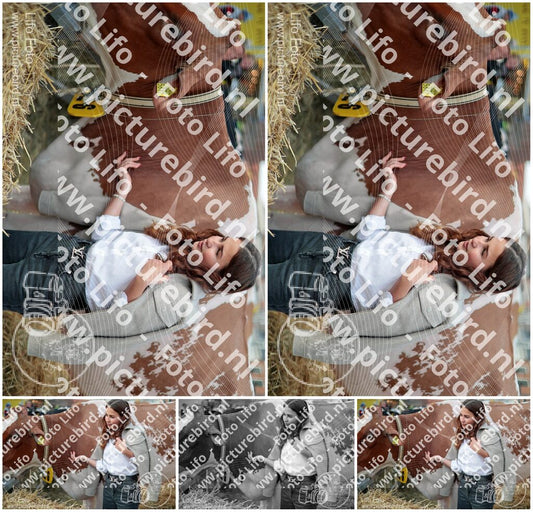 Evenement foto: Serie 3038