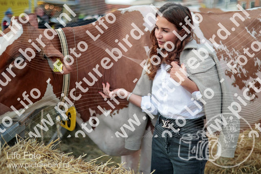 Evenement foto: Serie 3038