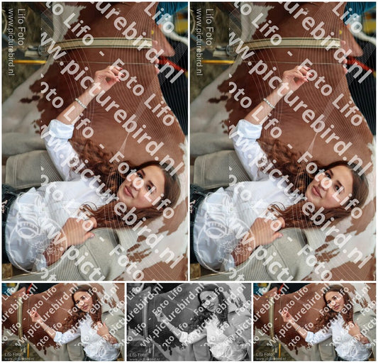 Evenement foto: Serie 3038