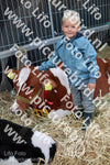 Evenement foto: Serie 3038