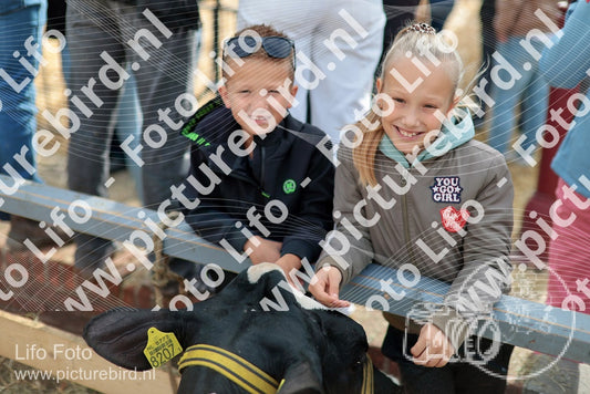 Evenement foto: Serie 3039