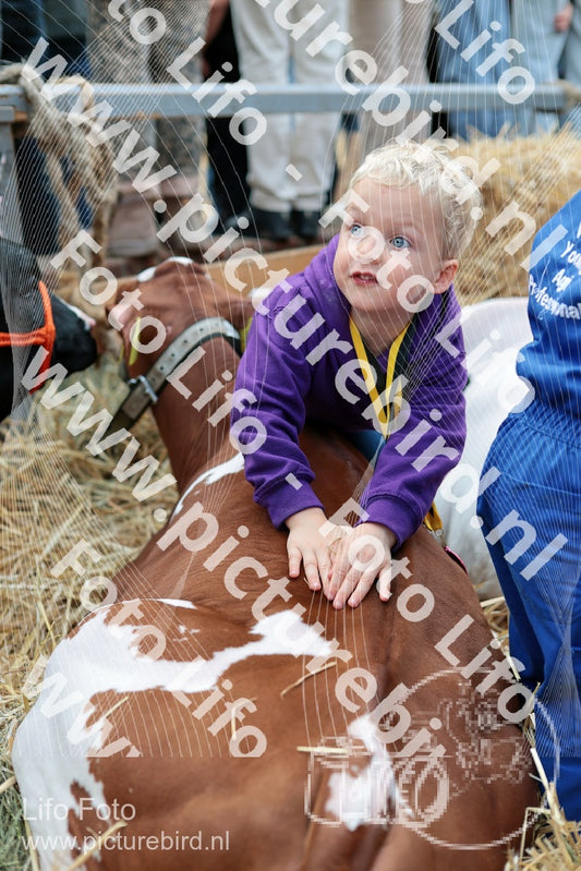 Evenement foto: Serie 3039