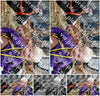 Evenement foto: Serie 3039