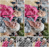 Evenement foto: Serie 3039