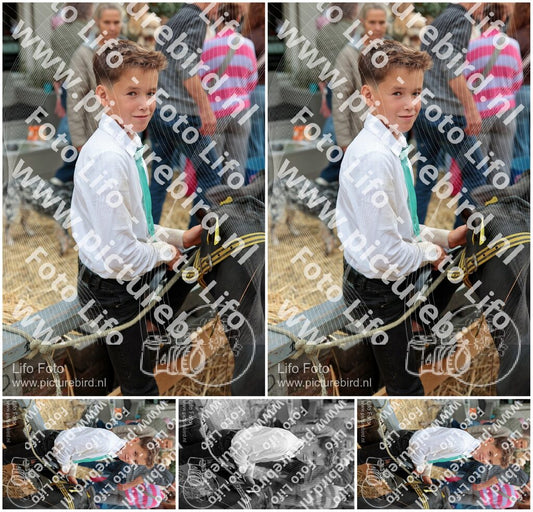 Evenement foto: Serie 3039