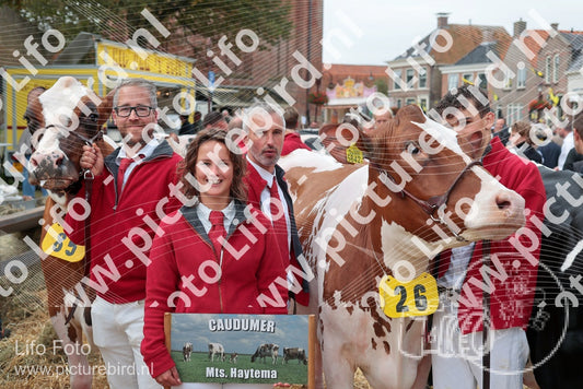 Evenement foto: Serie 3039