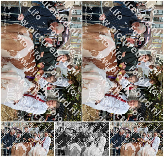 Evenement foto: Serie 3039