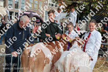 Evenement foto: Serie 3039