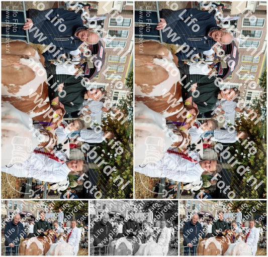Evenement foto: Serie 3039