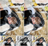 Evenement foto: Serie 3039