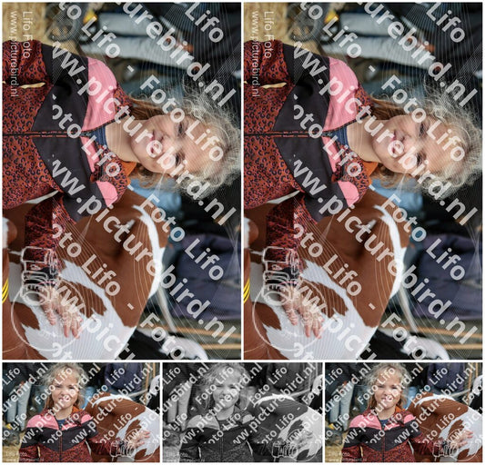 Evenement foto: Serie 3040