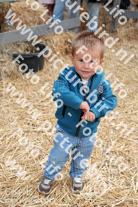 Evenement foto: Serie 3040