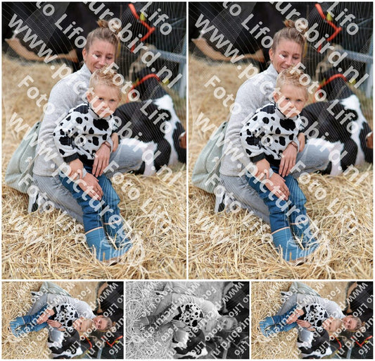 Evenement foto: Serie 3040