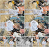 Evenement foto: Serie 3041