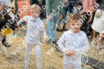 Evenement foto: Serie 3041
