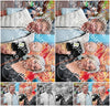 Evenement foto: 3064