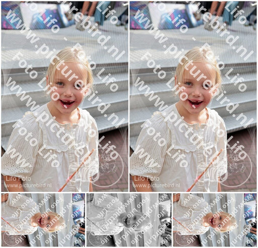 Evenement foto: 3064