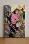 Evenement foto: 1445