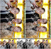 Evenement foto: 1445