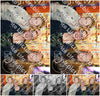 Evenement foto: 1445