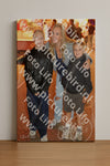 Evenement foto: 1446