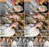 Evenement foto: 1446