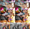 Evenement foto: 1446