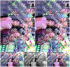 Evenement foto: 1446
