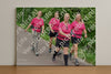 Evenement foto: 895