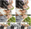 Evenement foto: 15