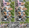 Evenement foto: 18