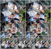 Evenement foto: 26