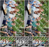 Evenement foto: 3047