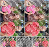 Evenement foto: 3048