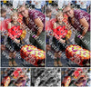 Evenement foto: 3048