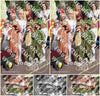 Evenement foto: 3049