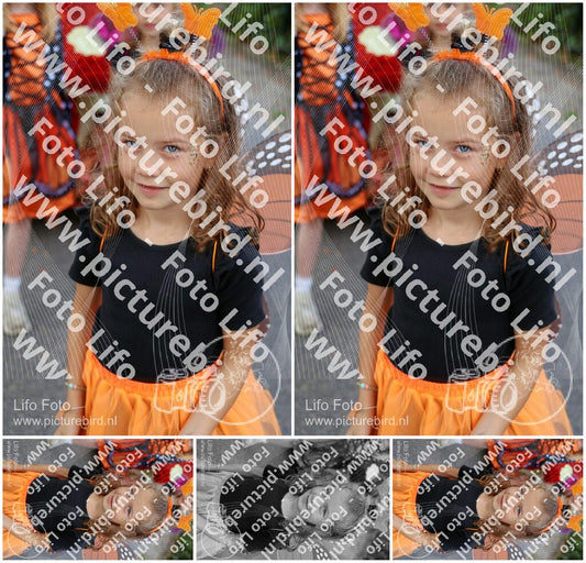 Evenement foto: 3049