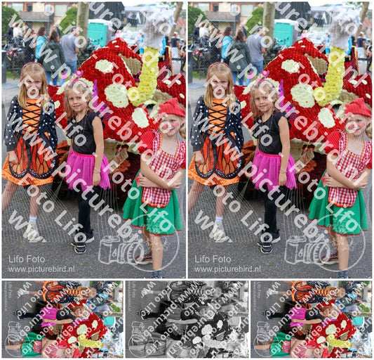 Evenement foto: 3049