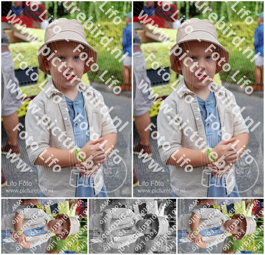 Evenement foto: 3050