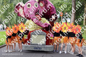 Evenement foto: 3050