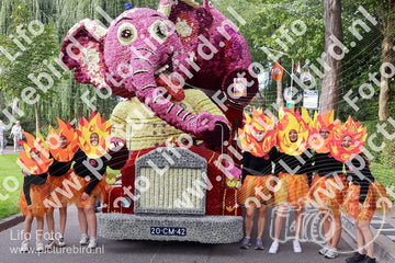 Evenement foto: 3050