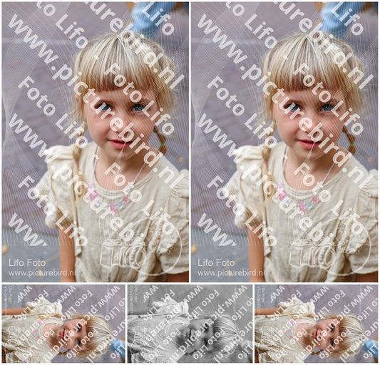 Evenement foto: 3050
